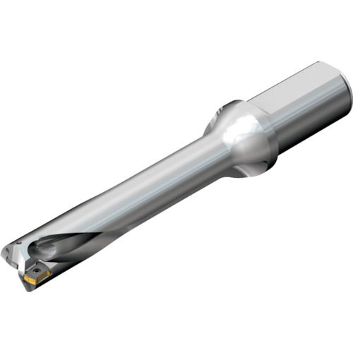 サンドビック　コロマントカンパニー　ＳＡＮＤＶＩＫ　コロドリルＤＳ２０刃先交換式ドリル（４６５）　【品番：DS20-D3332LX38-05】