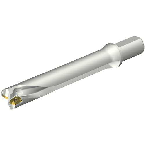 サンドビック　コロマントカンパニー　ＳＡＮＤＶＩＫ　コロドリルＤＳ２０刃先交換式ドリル（４６５）　【品番：DS20-D4128LX38-06】