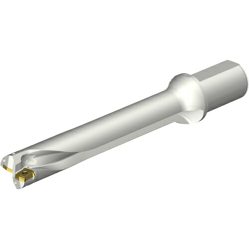 サンドビック コロマントカンパニー ＳＡＮＤＶＩＫ コロドリルＤＳ２０刃先交換式ドリル（４６５） 【品番：DS20-D4200L50-06】