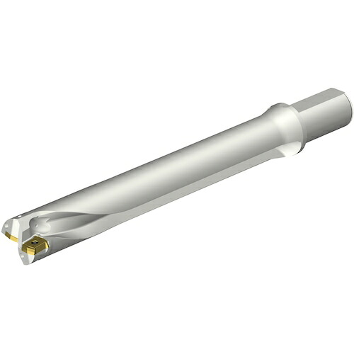 サンドビック　コロマントカンパニー　ＳＡＮＤＶＩＫ　コロドリルＤＳ２０刃先交換式ドリル（４６５）　【品番：DS20-D4285LX38-07】