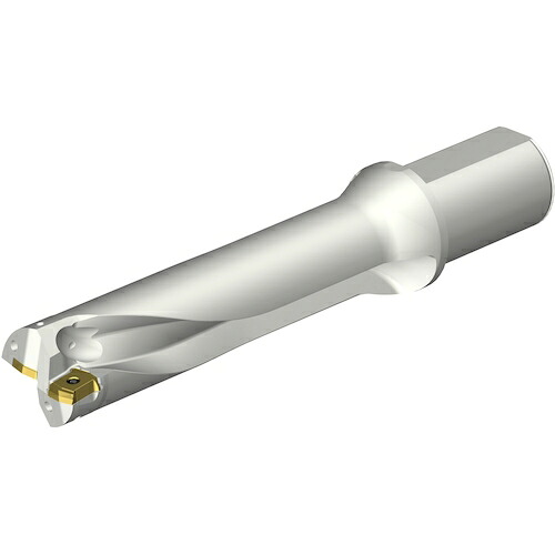 サンドビック　コロマントカンパニー　ＳＡＮＤＶＩＫ　コロドリルＤＳ２０刃先交換式ドリル（４６５）　【品番：DS20-D4800L50-04】