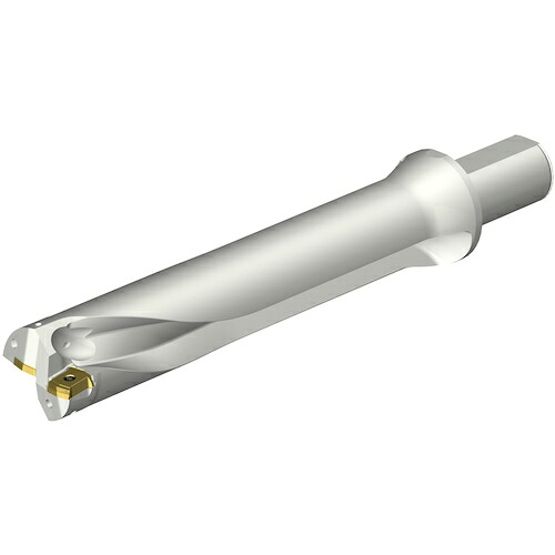 サンドビック　コロマントカンパニー　ＳＡＮＤＶＩＫ　コロドリルＤＳ２０刃先交換式ドリル（４６５）　【品番：DS20-D5080LX38-05】