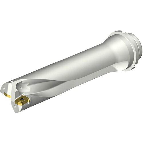 サンドビック コロマントカンパニー SANDVIK コロドリルDS20刃先交換式ドリル(465) 【品番:DS20-D5100DM50-04】