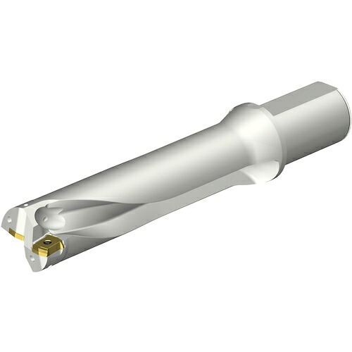 サンドビック　コロマントカンパニー　ＳＡＮＤＶＩＫ　コロドリルＤＳ２０刃先交換式ドリル（４６５）　【品番：DS20-D5100L50-04】