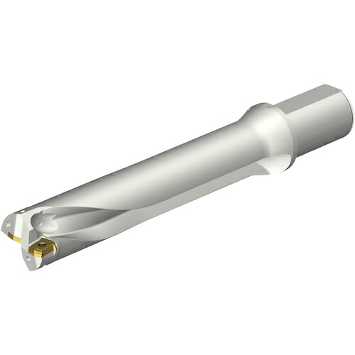 サンドビック　コロマントカンパニー　ＳＡＮＤＶＩＫ　コロドリルＤＳ２０刃先交換式ドリル（４６５）　【品番：DS20-D5100L50-05】 100,370円