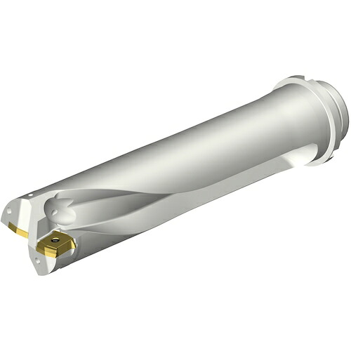 サンドビック コロマントカンパニー ＳＡＮＤＶＩＫ コロドリルＤＳ２０刃先取り替えっこ式せん孔機（４６５） 【品番：DS20-D5800DM50-04】