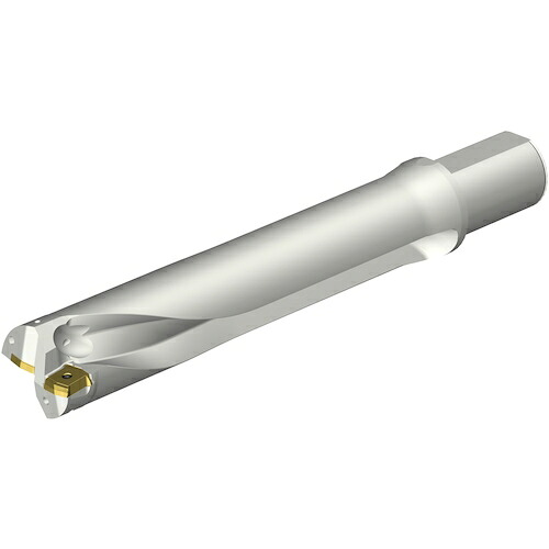 サンドビック　コロマントカンパニー　ＳＡＮＤＶＩＫ　コロドリルＤＳ２０刃先交換式ドリル（４６５）　【品番：DS20-D5800L50-05】