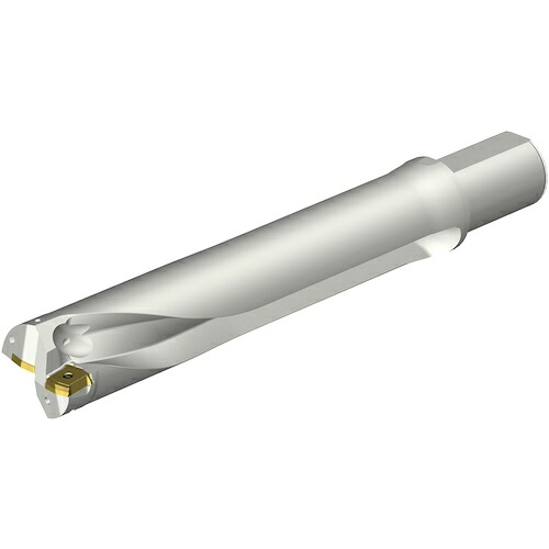 サンドビック　コロマントカンパニー　ＳＡＮＤＶＩＫ　コロドリルＤＳ２０刃先交換式ドリル（４６５）　【品番：DS20-D6000L50-05】