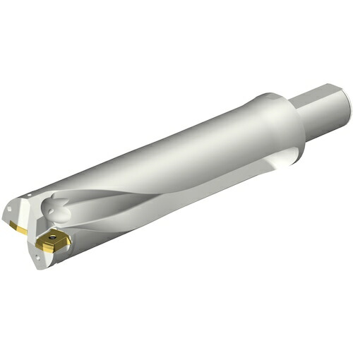 サンドビック　コロマントカンパニー　ＳＡＮＤＶＩＫ　コロドリルＤＳ２０刃先交換式ドリル（４６５）　【品番：DS20-D6033LX38-04】