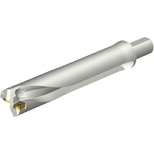 サンドビック　コロマントカンパニー　ＳＡＮＤＶＩＫ　コロドリルＤＳ２０刃先交換式ドリル（４６５）　【品番：DS20-D6033LX38-05】