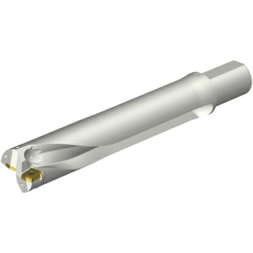 サンドビック　コロマントカンパニー　ＳＡＮＤＶＩＫ　コロドリルＤＳ２０刃先交換式ドリル（４６５）　【品番：DS20-D6100L50-05】