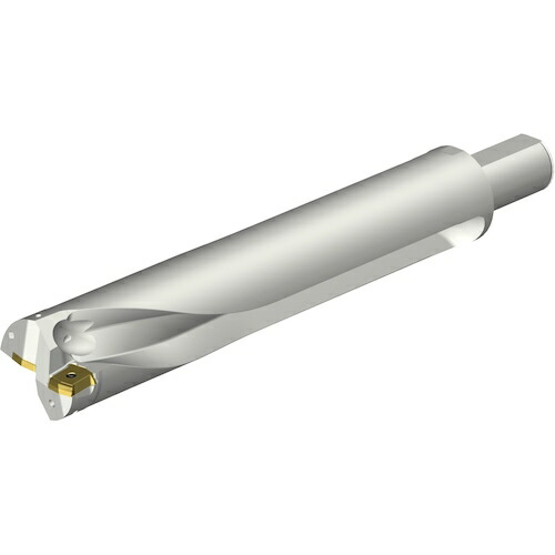 サンドビック　コロマントカンパニー　ＳＡＮＤＶＩＫ　コロドリルＤＳ２０刃先交換式ドリル（４６５）　【品番：DS20-D6350LX38-05】