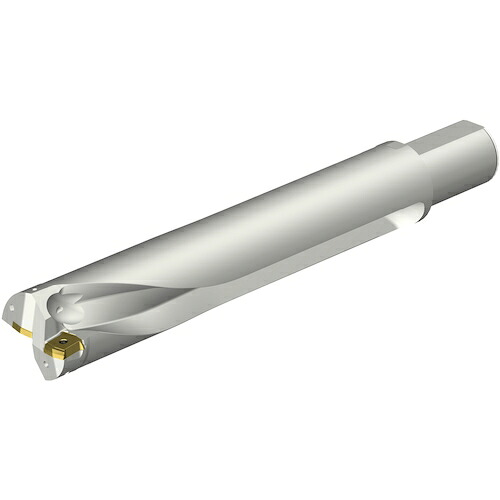サンドビック　コロマントカンパニー　ＳＡＮＤＶＩＫ　コロドリルＤＳ２０刃先交換式ドリル（４６５）　【品番：DS20-D6500L50-05】