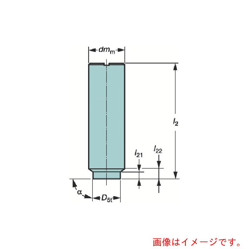 サンドビック コロマントカンパニー ＳＡＮＤＶＩＫ コロミルＥＨ円柱シャンクホルダ（４４５） 【品番：E12-A12-SS-100】