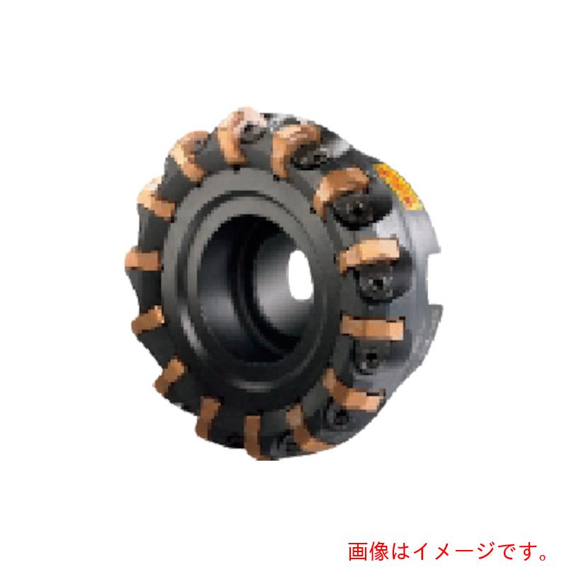 サンドビック コロマントカンパニー ＳＡＮＤＶＩＫ コロミル３６５裁断師（４５０） 【品番：L365-125Q40-W15H】