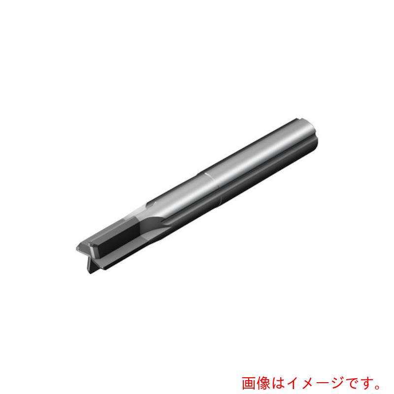 【メール便対応】サンドビック　コロマントカンパニー　ＳＡＮＤＶＩＫ　コロミルプルーラ（７３０）　１６１０　【品番：2P070-1600-PB】