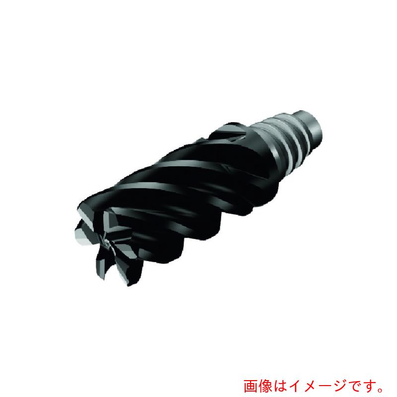 サンドビック　コロマントカンパニー　ＳＡＮＤＶＩＫ　コロミル３１６　フライス加工用超硬ヘッド（３４５）　１７４５　【品番：316-20FL642-20020L】