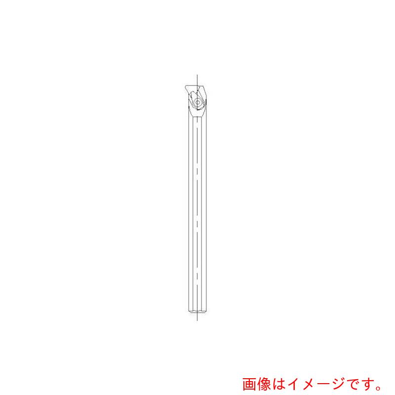 【電子メイル便相応う】サンドビック コロマントカンパニー ＳＡＮＤＶＩＫ Ｔ－Ｍａｘ Ｓ ポジ手当て用刺し通す働き口（２１０） 【品番：R136.9-10-06】