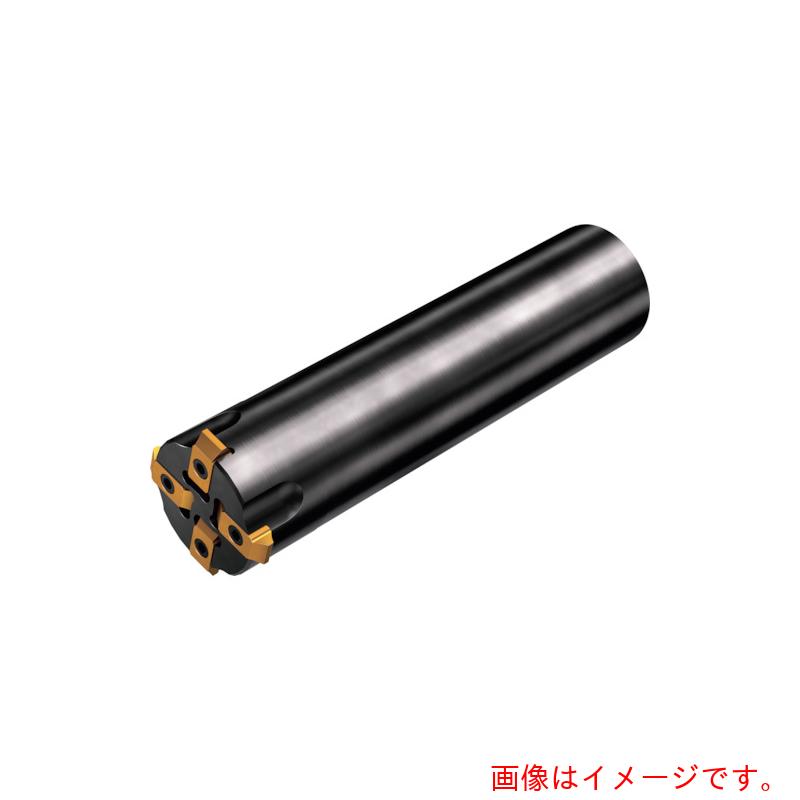 サンドビック コロマントカンパニー ＳＡＮＤＶＩＫ 歯車スプライン処理用ＣｏｒｏＭｉｌｌ１７１．４（４５１） 【品番：R171.4-50C4-M5】