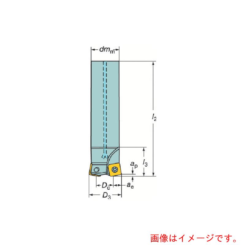 サンドビック コロマントカンパニー ＳＡＮＤＶＩＫ コロミル２１０挙げ句の果て圧砕機（４５０） 【品番：R210-032A25-09M】 その他-DIY・工具-花・ガーデン・DIY