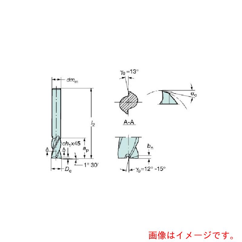 【メール便対応】サンドビック　コロマントカンパニー　ＳＡＮＤＶＩＫ　コロミルプルーラ　超硬ソリッドエンドミル（７３０）　Ｈ１０Ｆ　【品番：R216.42-03030-AK07A】