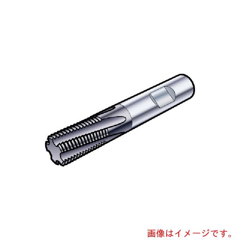 【電子メイル便相応う】サンドビック コロマントカンパニー ＳＡＮＤＶＩＫ コロミルプルーラ スレッドエンドミル（７３０） １６３０ 【品番：R217.13C048050AC10N】