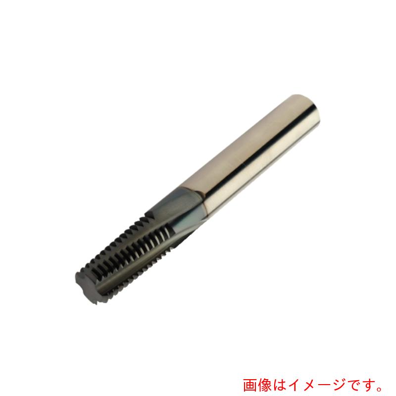 【メール便対応】サンドビック　コロマントカンパニー　ＳＡＮＤＶＩＫ　コロミルプルーラ　ねじ切り加工用超硬エンドミル（７３０）　１６３０　【品番：R217.34C120110AC25N】