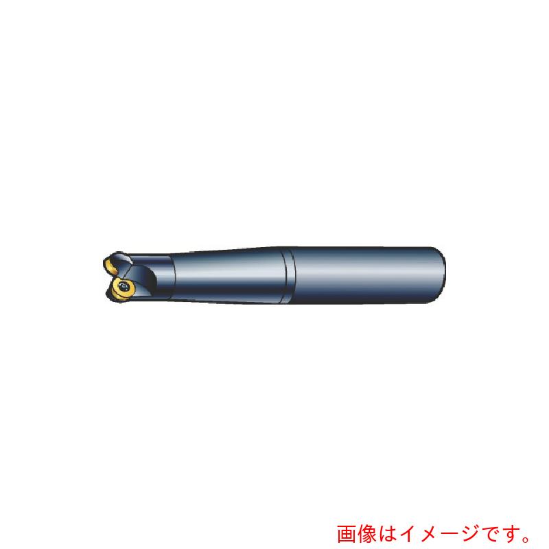 サンドビック　コロマントカンパニー　ＳＡＮＤＶＩＫ　コロミル３００　正面フライスカッター（４４０）　【品番：R300-032A25-12M】