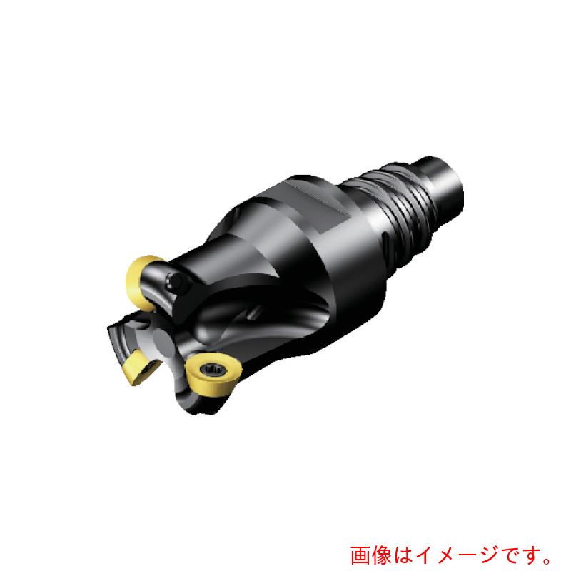 サンドビック コロマントカンパニー ＳＡＮＤＶＩＫ コロミル３００ 向こう正面フライス裁断師（４４０） 【品番：R300-25EH25-10L】