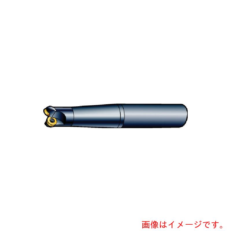 サンドビック　コロマントカンパニー　ＳＡＮＤＶＩＫ　コロミル３００　正面フライスカッター（４４０）　【品番：R300-25T12-10M】