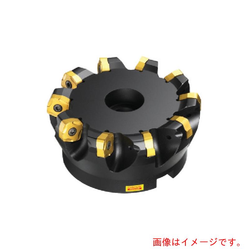 サンドビック コロマントカンパニー ＳＡＮＤＶＩＫ コロミル３６５切り手（４５０） 【品番：R365-050Q22-S15H】