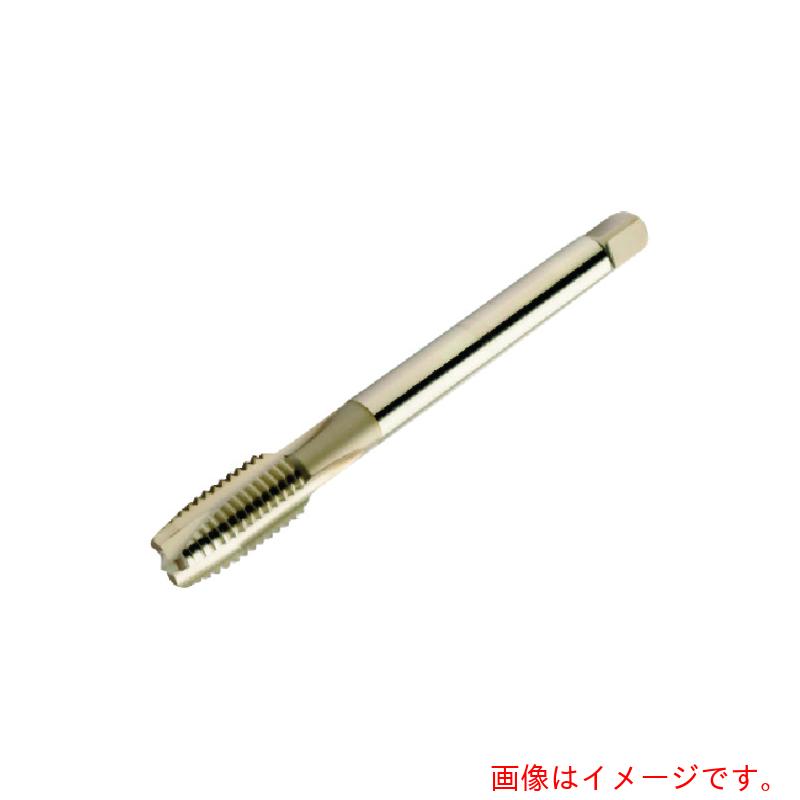 【メール便対応】サンドビック　コロマントカンパニー　ＳＡＮＤＶＩＫ　コロタップ２００　ポイントタップ（７８０）　Ｂ１５０　【品番：T200-NM101DA-M12】