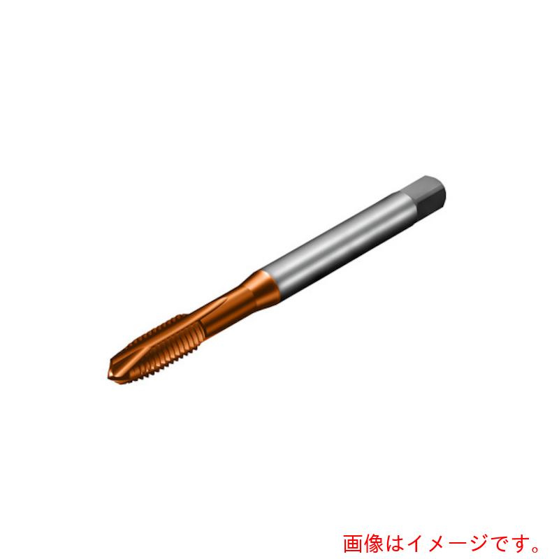 【メール便対応】サンドビック　コロマントカンパニー　ＳＡＮＤＶＩＫ　コロタップ２００　ポイントタップ（７８１）　Ｃ１１０　【品番：T200-XM100AB-M8X100】