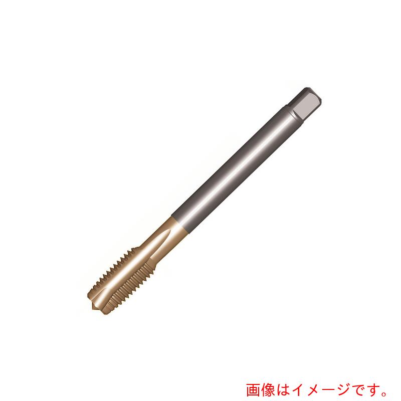 【メール便対応】サンドビック　コロマントカンパニー　ＳＡＮＤＶＩＫ　コロタップ２００　ポイントタップ（７８１）　Ｃ１４５　【品番：T200-XM100DB-M14X100】