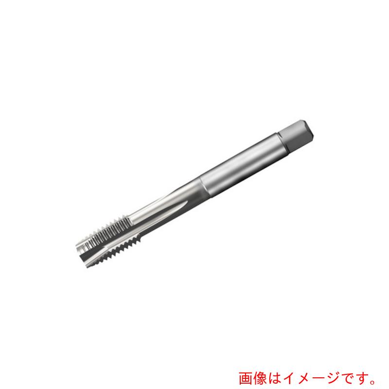 サンドビック コロマントカンパニー ＳＡＮＤＶＩＫ コロタップ２００ 尖んがり水道栓（７８１） Ｂ１５０ 【品番：T200-XM101DE-1】
