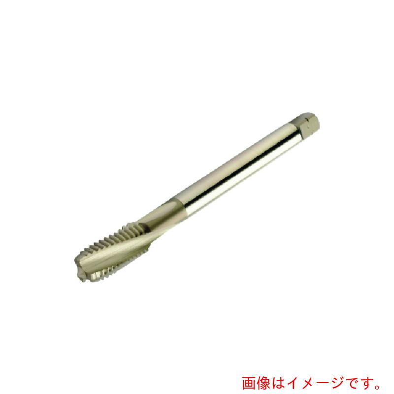 【電子メール便相応う】サンドビック コロマントカンパニー ＳＡＮＤＶＩＫ コロタップ３００ 渦巻き水道栓（７８０） Ｄ１５０ 【品番：T300-NM100AE-3/4】