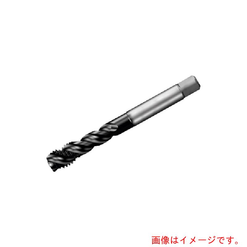 サンドビック コロマントカンパニー ＳＡＮＤＶＩＫ コロタップ３００ 渦巻き水道栓（７８０） Ｐ１ＰＭ 【品番：T300-PM101JA-M24】