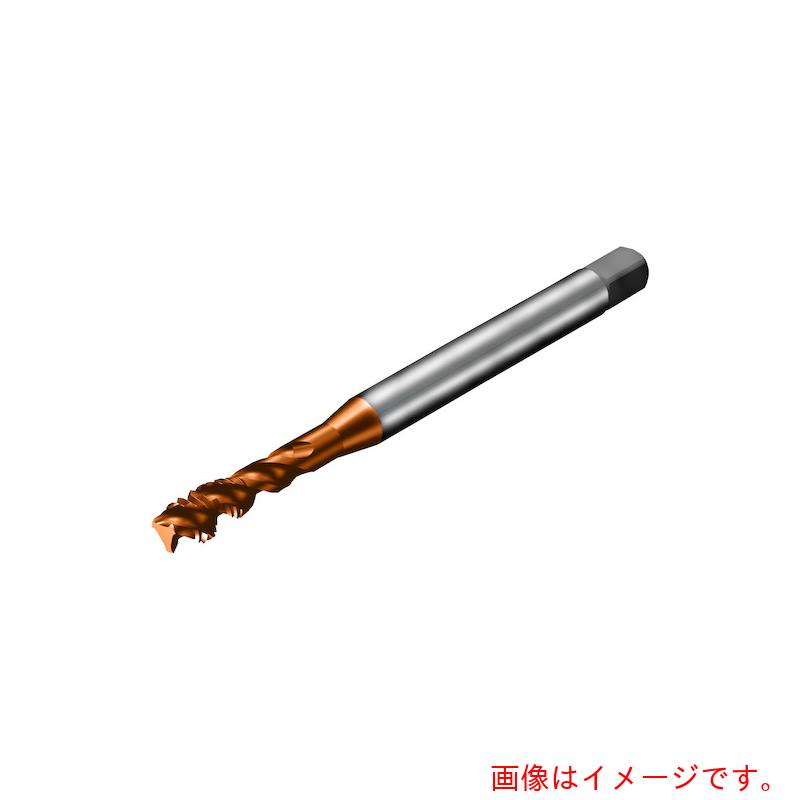 【電子メイル便相応う】サンドビック コロマントカンパニー ＳＡＮＤＶＩＫ コロタップ３００ 渦巻き水道栓（７８１） Ｃ１１０ 【品番：T300-XM100DB-M14X100】