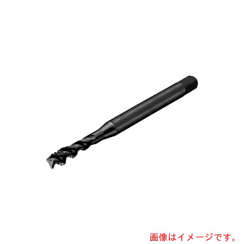 サンドビック コロマントカンパニー ＳＡＮＤＶＩＫ コロタップ３００ 渦巻き飲み口（７８１） Ｂ１４５ 【品番：T300-XM100DB-M20X150】 その他-花・ガーデン・DIY-DIY・工具