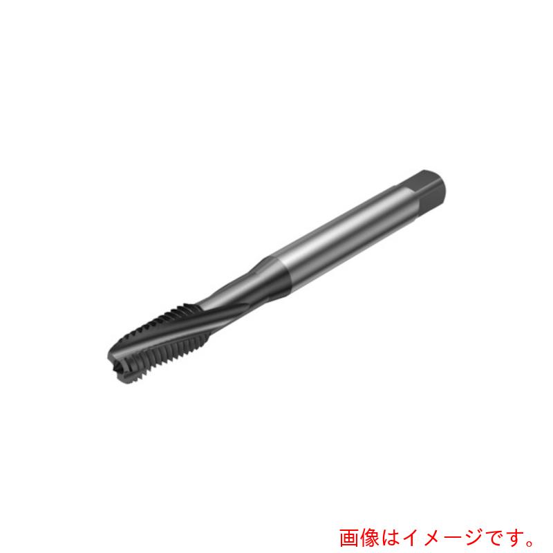 サンドビック コロマントカンパニー ＳＡＮＤＶＩＫ コロタップ３００ 渦巻き水道栓（７８１） Ｂ１５０ 【品番：T300-XM101DA-M24】