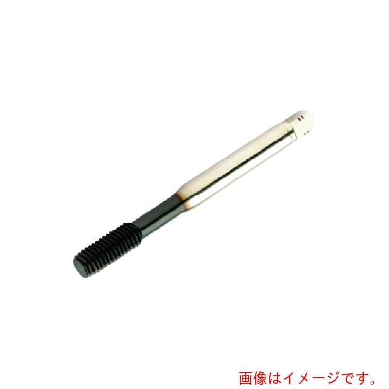 【電子メール便相応う】サンドビック コロマントカンパニー ＳＡＮＤＶＩＫ コロタップ４００ 転造水道栓（７８０） Ｂ１０５ 【品番：T400-NM100DA-M8 B105】