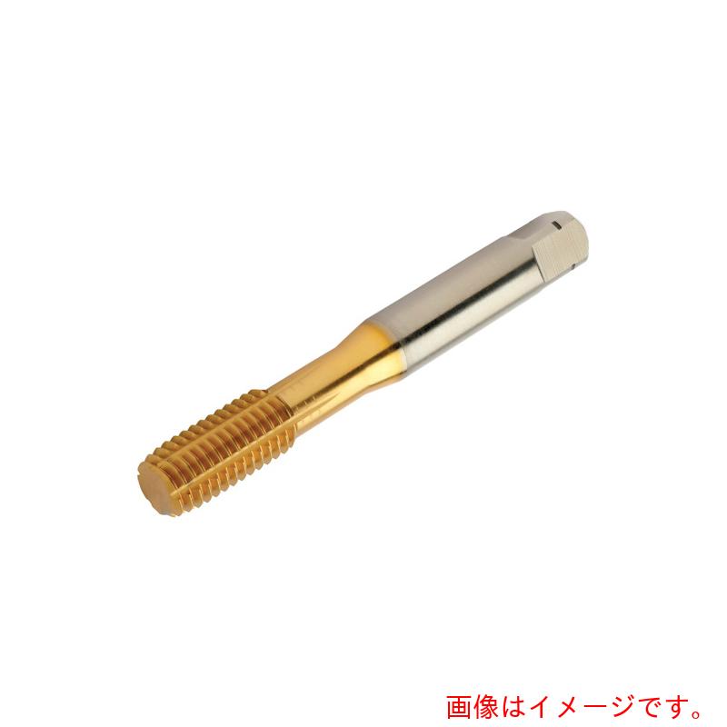 【電子メール便相応う】サンドビック コロマントカンパニー ＳＡＮＤＶＩＫ コロタップ４００ 転造水道栓（７８０） Ｆ１２５ 【品番：T400-PM101AF-3/8】