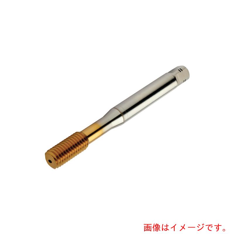 【電子メール便相応う】サンドビック コロマントカンパニー ＳＡＮＤＶＩＫ コロタップ４００ 転造水道栓（７８０） Ｆ１２５ 【品番：T400-PM103AE-3/8】