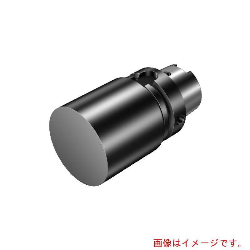 サンドビック コロマントカンパニー ＳＡＮＤＶＩＫ ＨＳＫカップリング付き添い人空白文字（５４０） 【品番：392.41050-63 64 250A】