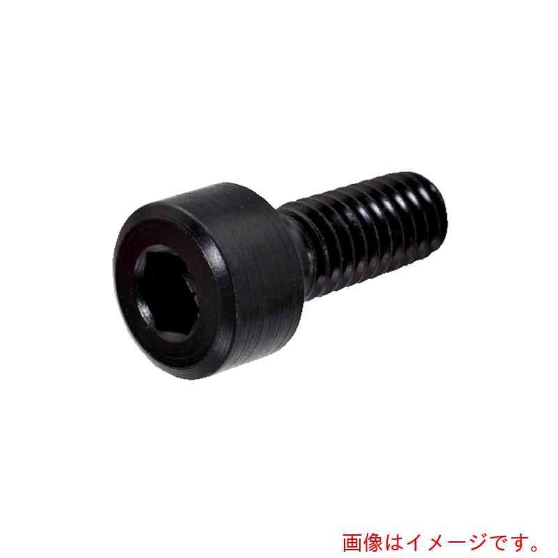 【メール便対応】サンドビック　コロマントカンパニー　ＳＡＮＤＶＩＫ　ソケットヘッドスクリュー（８１０）　【品番：5512 065-11】