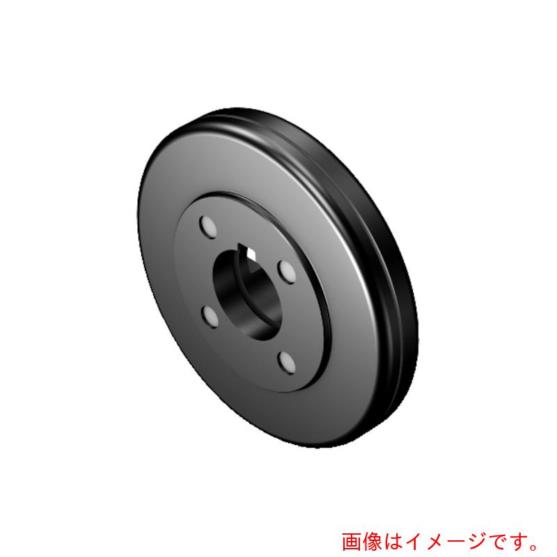 サンドビック コロマントカンパニー ＳＡＮＤＶＩＫ アーバ用重圧レコード盤 運転螺子釘付（５４０） 【品番：5549 201-171】