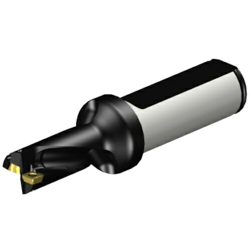 サンドビック　コロマントカンパニー　ＳＡＮＤＶＩＫ　コロドリル８８０（スーパーＵドリル）　刃先交換式ドリル１４．２７４８　（４６５）　【品番：A880-D0562LX19-02】