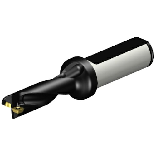 サンドビック コロマントカンパニー ＳＡＮＤＶＩＫ コロドリル８８０（百貨店Ｕせん孔機） 刃先取り替えっこ式せん孔機１４．２７４８ （４６５） 【品番：A880-D0562LX19-03】