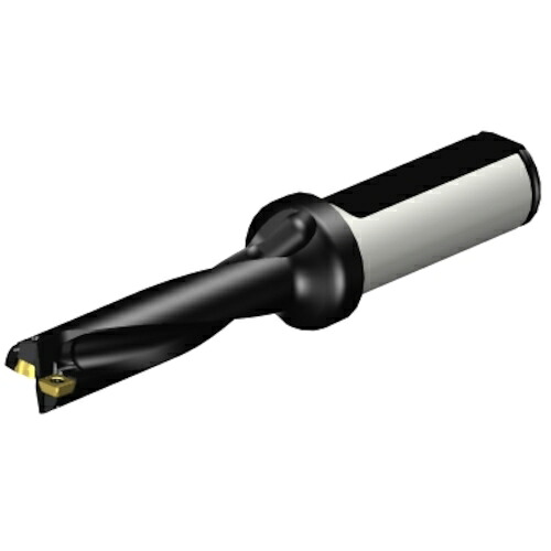 サンドビック コロマントカンパニー ＳＡＮＤＶＩＫ コロドリル８８０（百貨店Ｕせん孔機） 刃先取り替えっこ式せん孔機１４．２７４８ （４６５） 【品番：A880-D0562LX19-04】