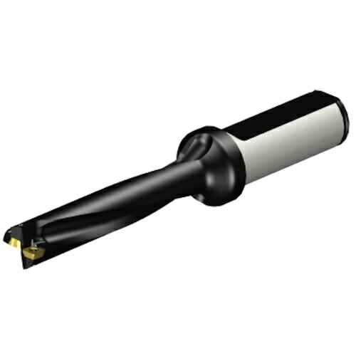 サンドビック コロマントカンパニー ＳＡＮＤＶＩＫ コロドリル８８０（百貨店Ｕせん孔機） 刃先取り替えっこ式せん孔機１４．２７４８ （４６５） 【品番：A880-D0562LX19-05】